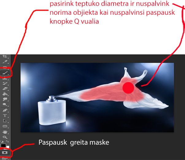 Paveikslėlis
