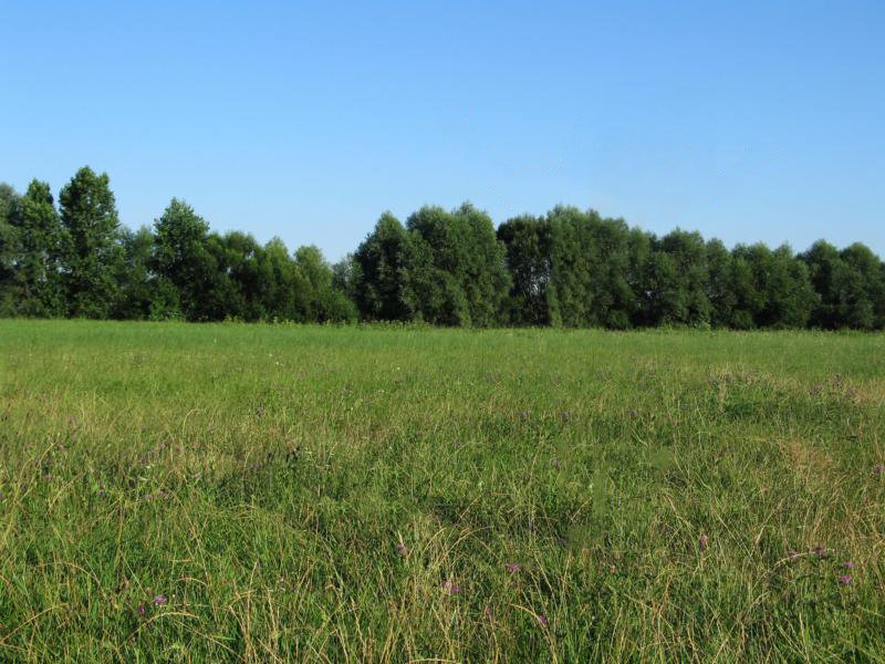 Paveikslėlis