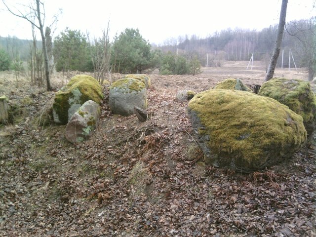 Paveikslėlis