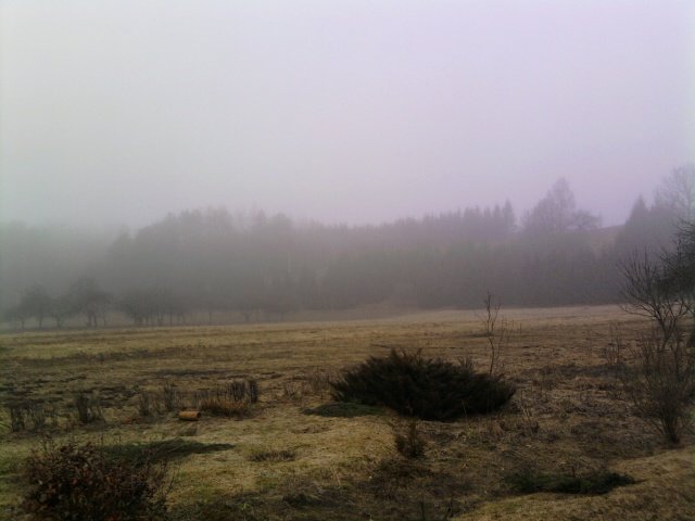 Paveikslėlis