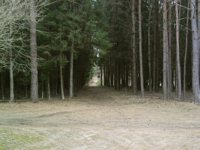 Paveikslėlis