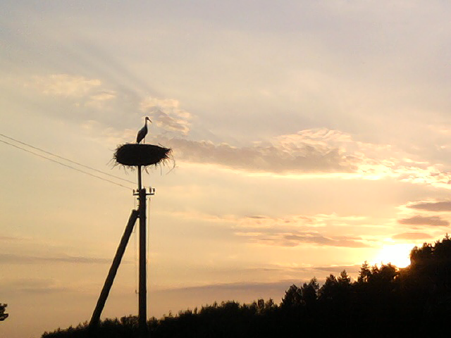 Paveikslėlis
