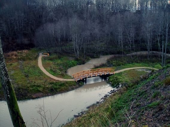 Paveikslėlis