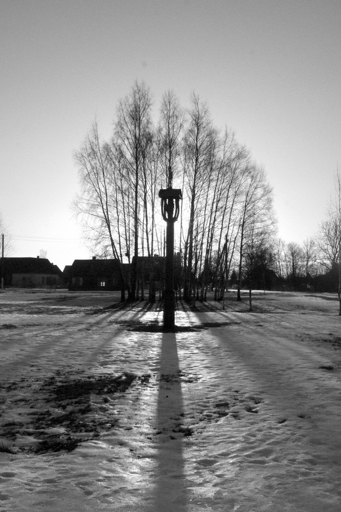 Paveikslėlis