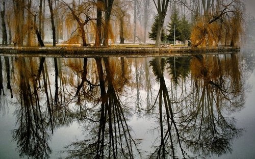 Paveikslėlis