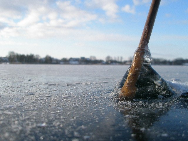 Paveikslėlis
