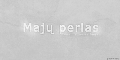 Paveikslėlis