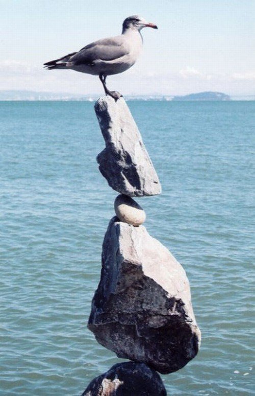 Paveikslėlis