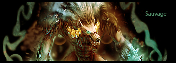 sauvage-xDDD.jpg