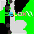 selox avatar.jpg