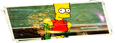 bart   copy.jpg